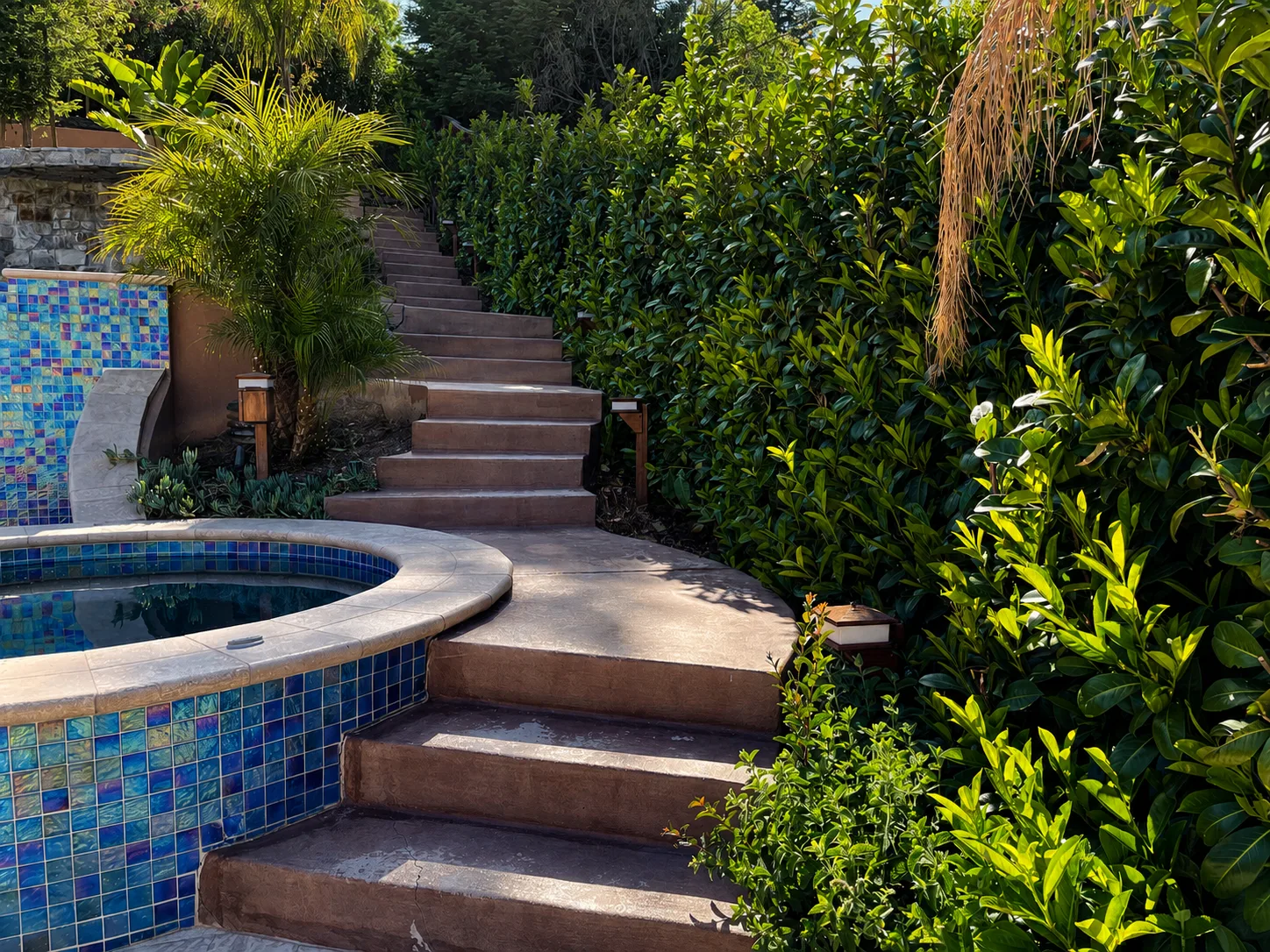 Garden stairs climb beside the blue-tiled spa through dense planting, connecting one terrace to the next.